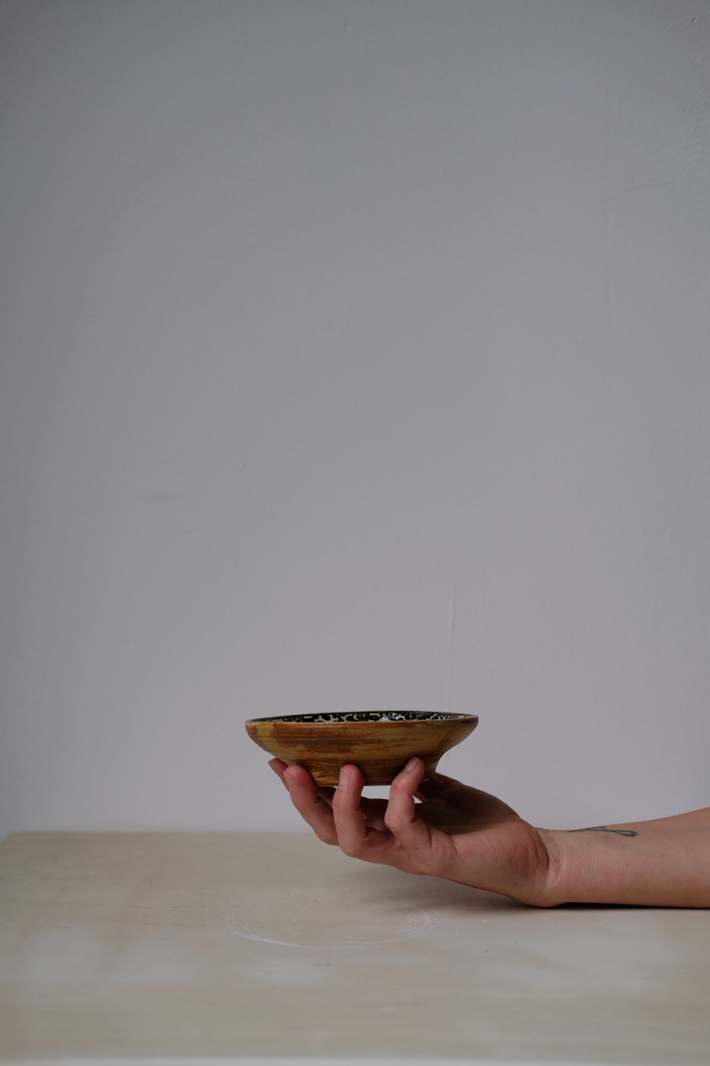 Dalmatian Dish