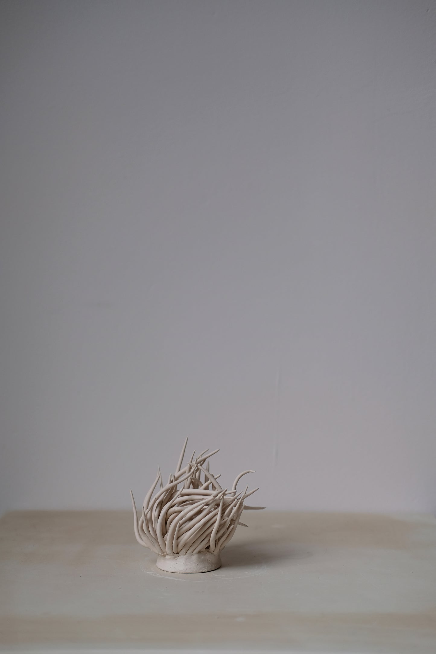 Anemone sculpture