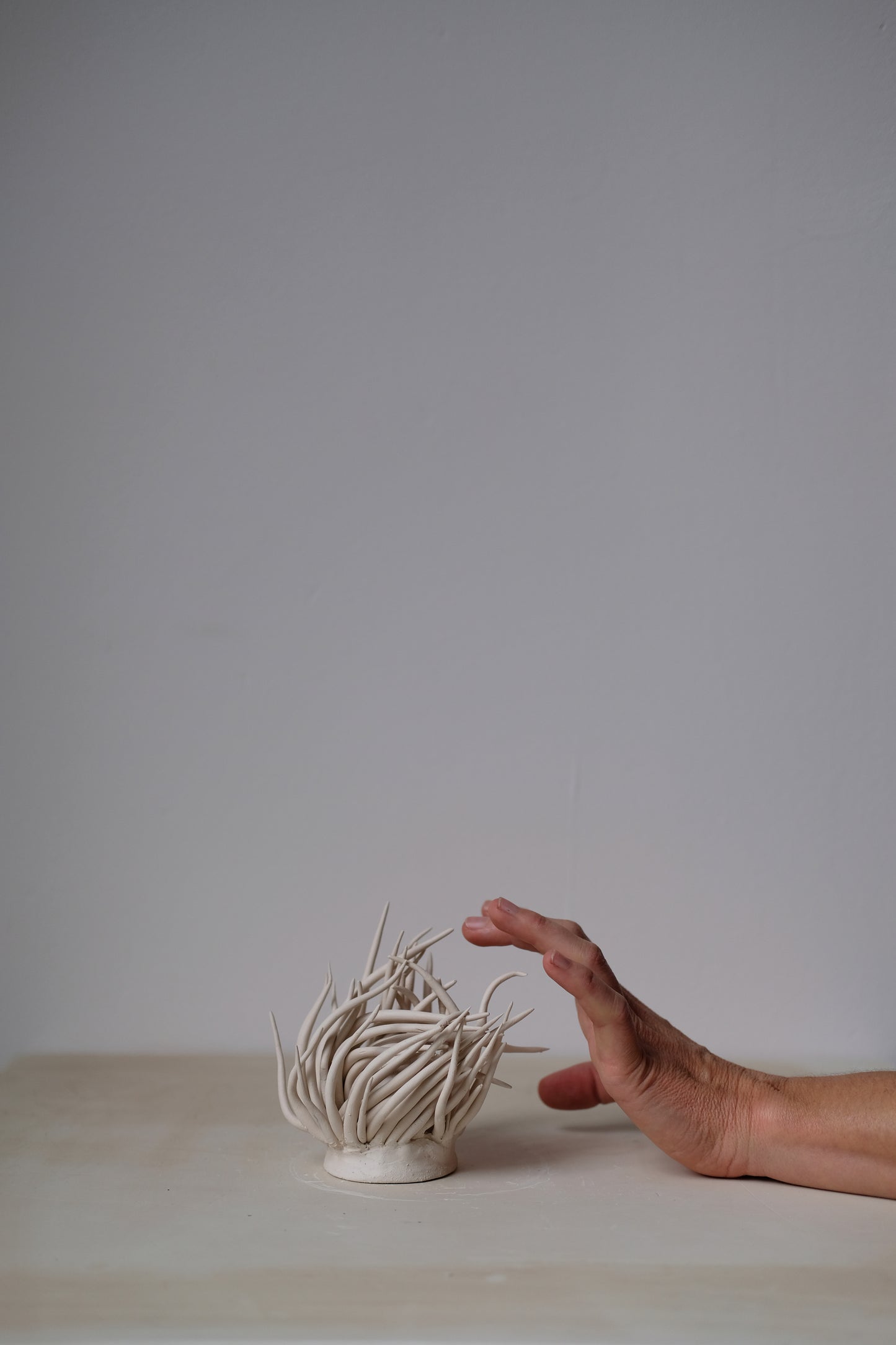 Anemone sculpture