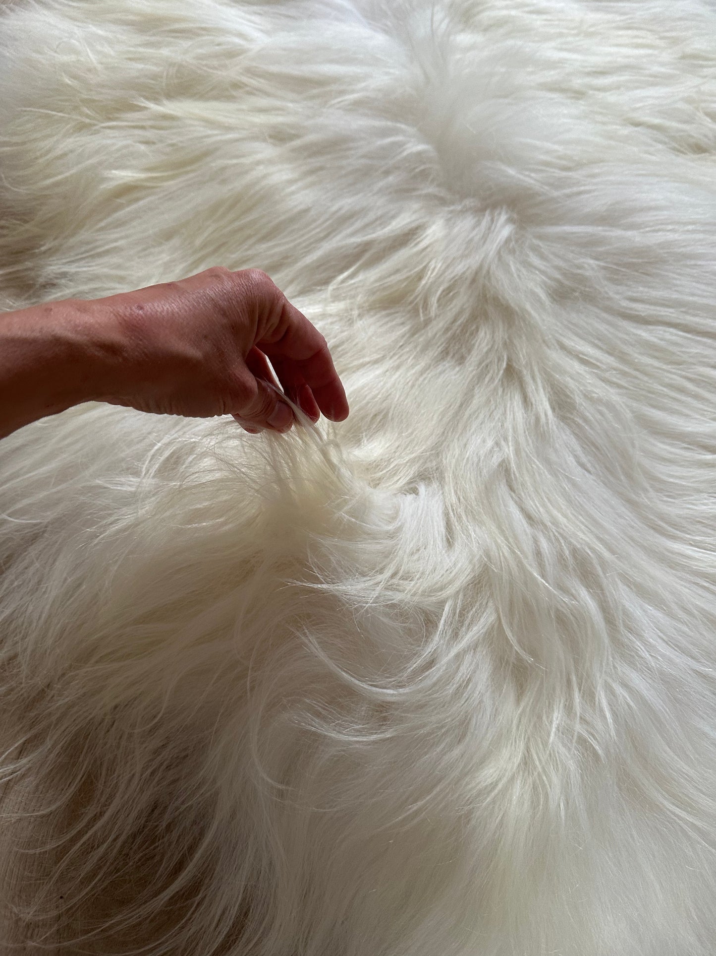 Icelandic Sheepskin ::: white flames