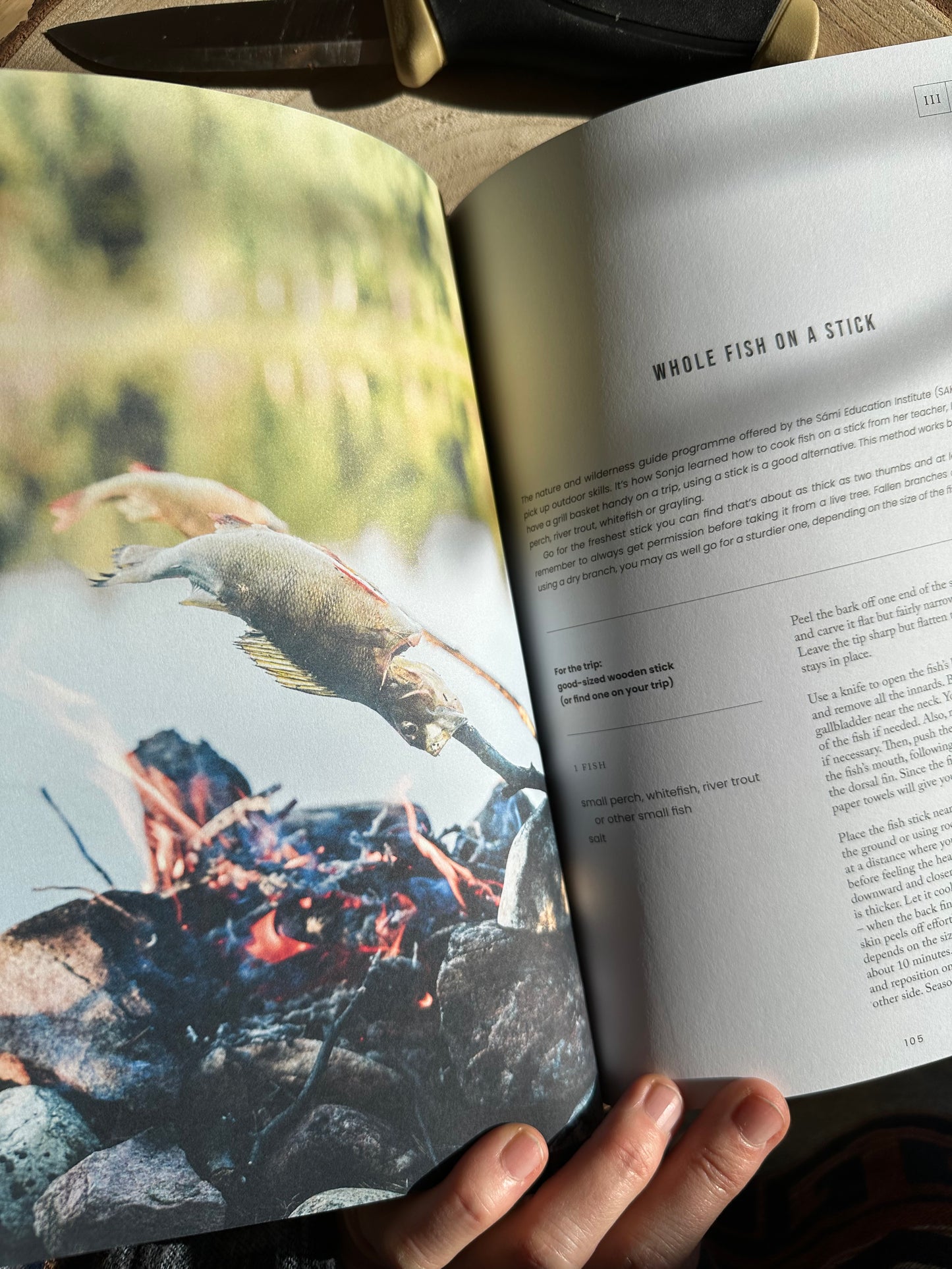 Food over the Campfire