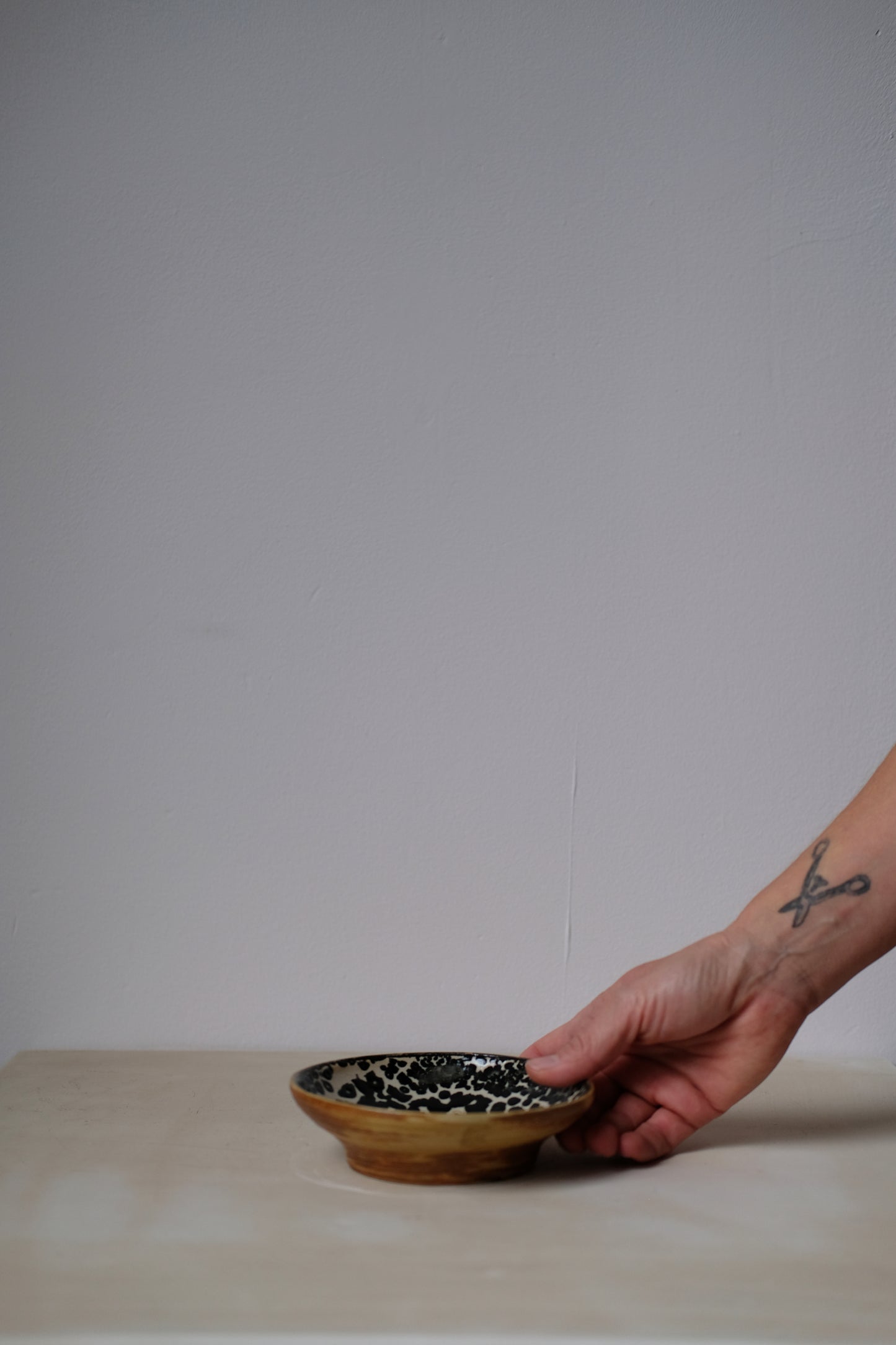 Dalmatian Dish