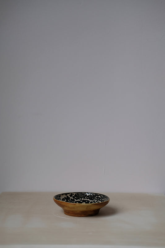 Dalmatian Dish