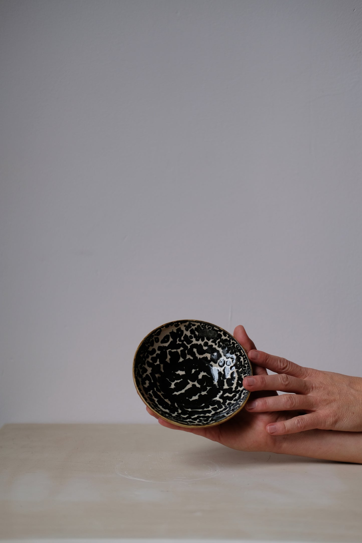 Dalmatian Dish