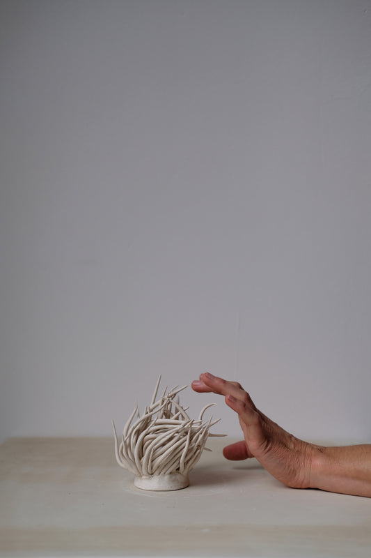 Anemone sculpture