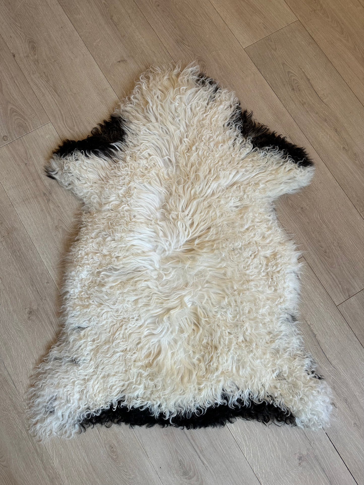 Icelandic Sheepskin ::: curly