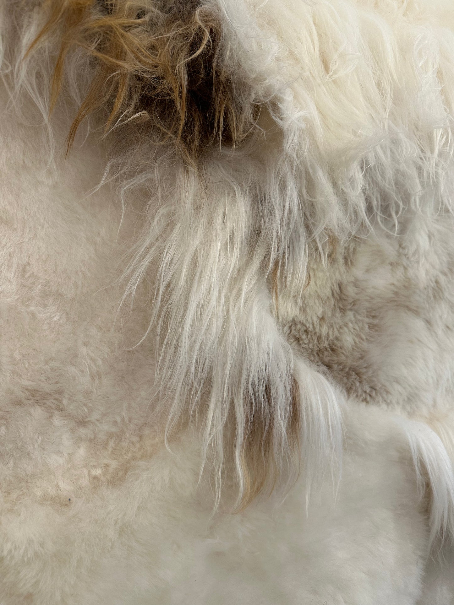 Icelandic Sheepskin ::: white flames mélange