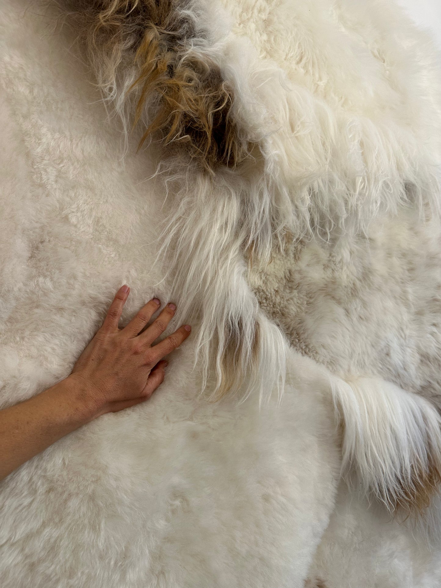 Icelandic Sheepskin ::: white flames mélange
