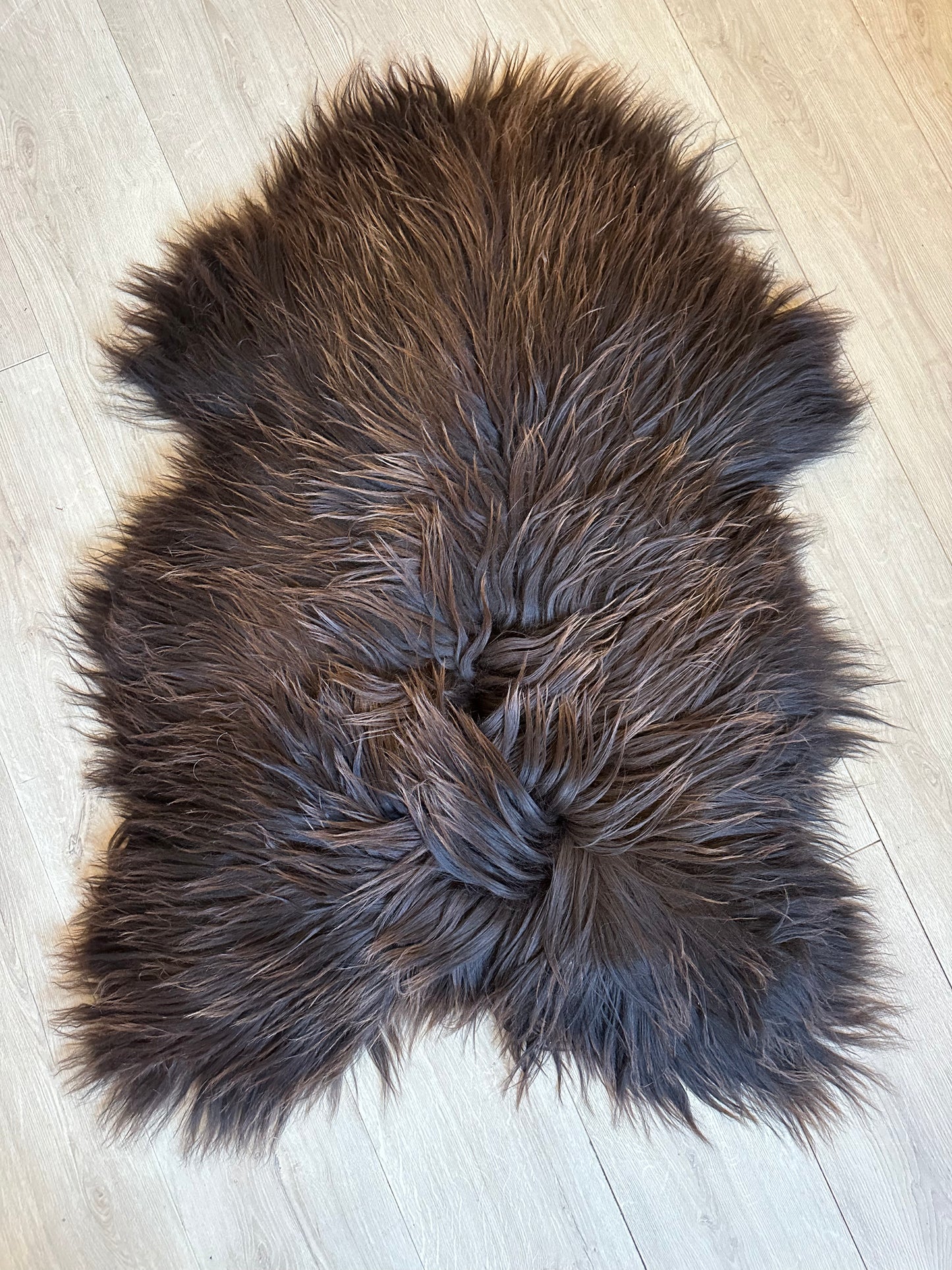 Icelandic Sheepskin ::: brown sun