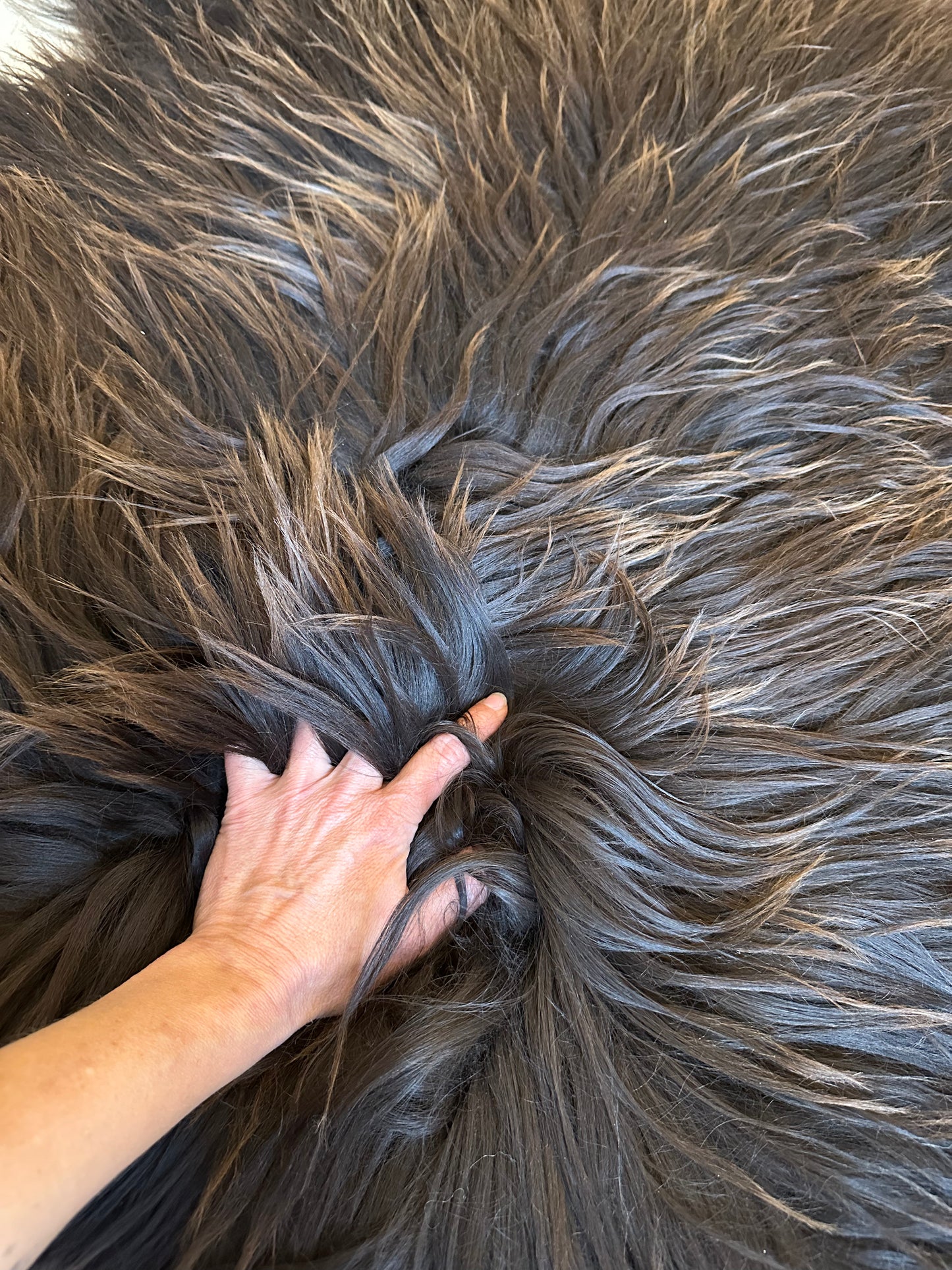Icelandic Sheepskin ::: brown sun
