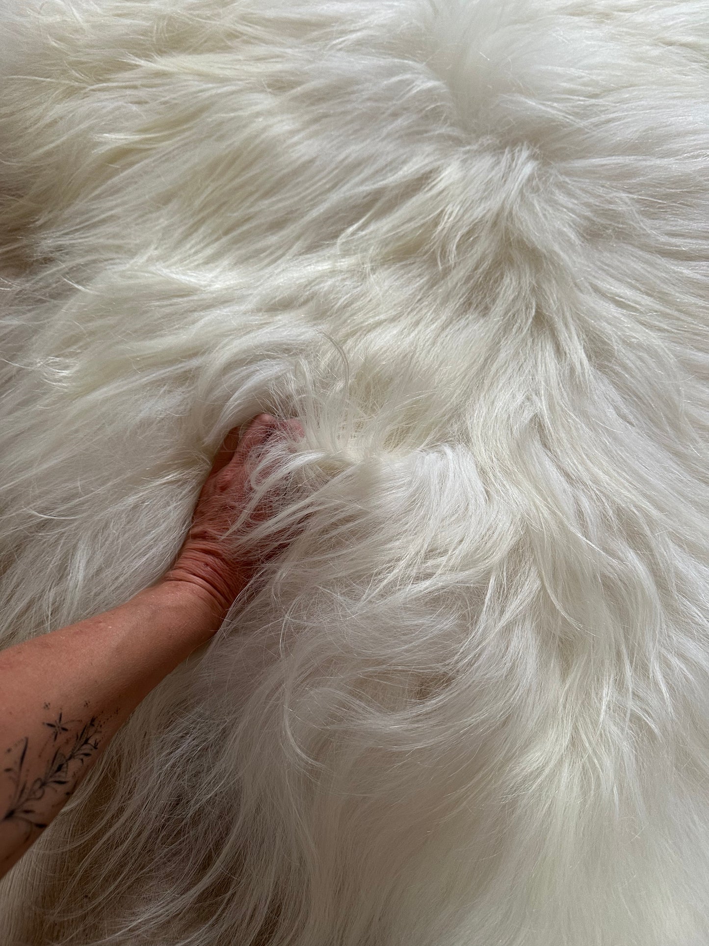 Icelandic Sheepskin ::: white flames