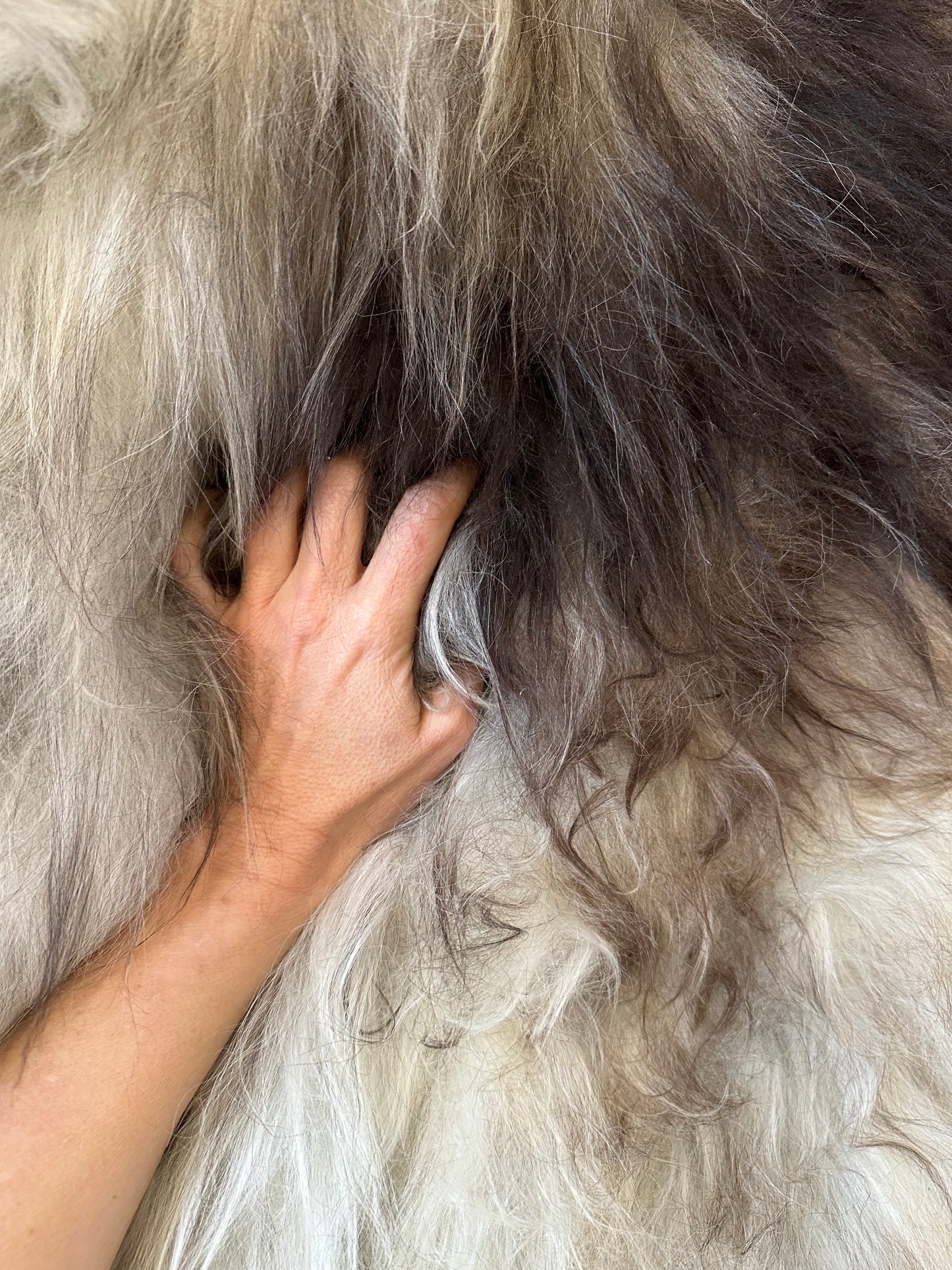 Icelandic Sheepskin
