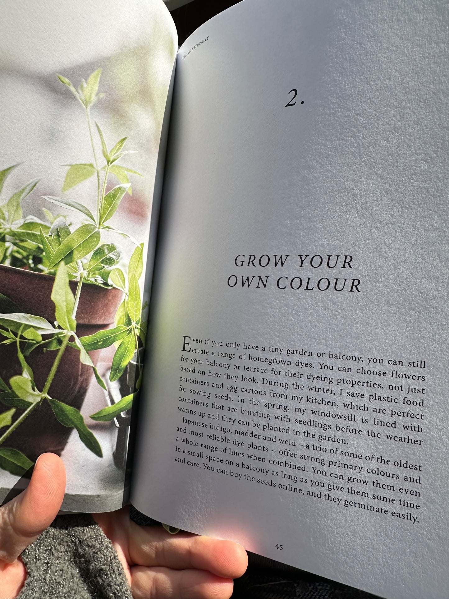 Dyeing Naturally