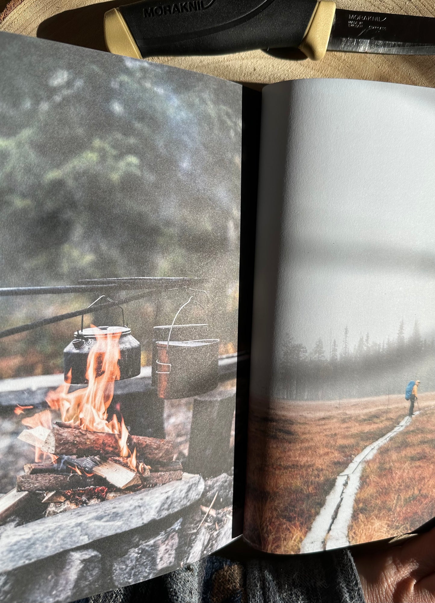 Food over the Campfire