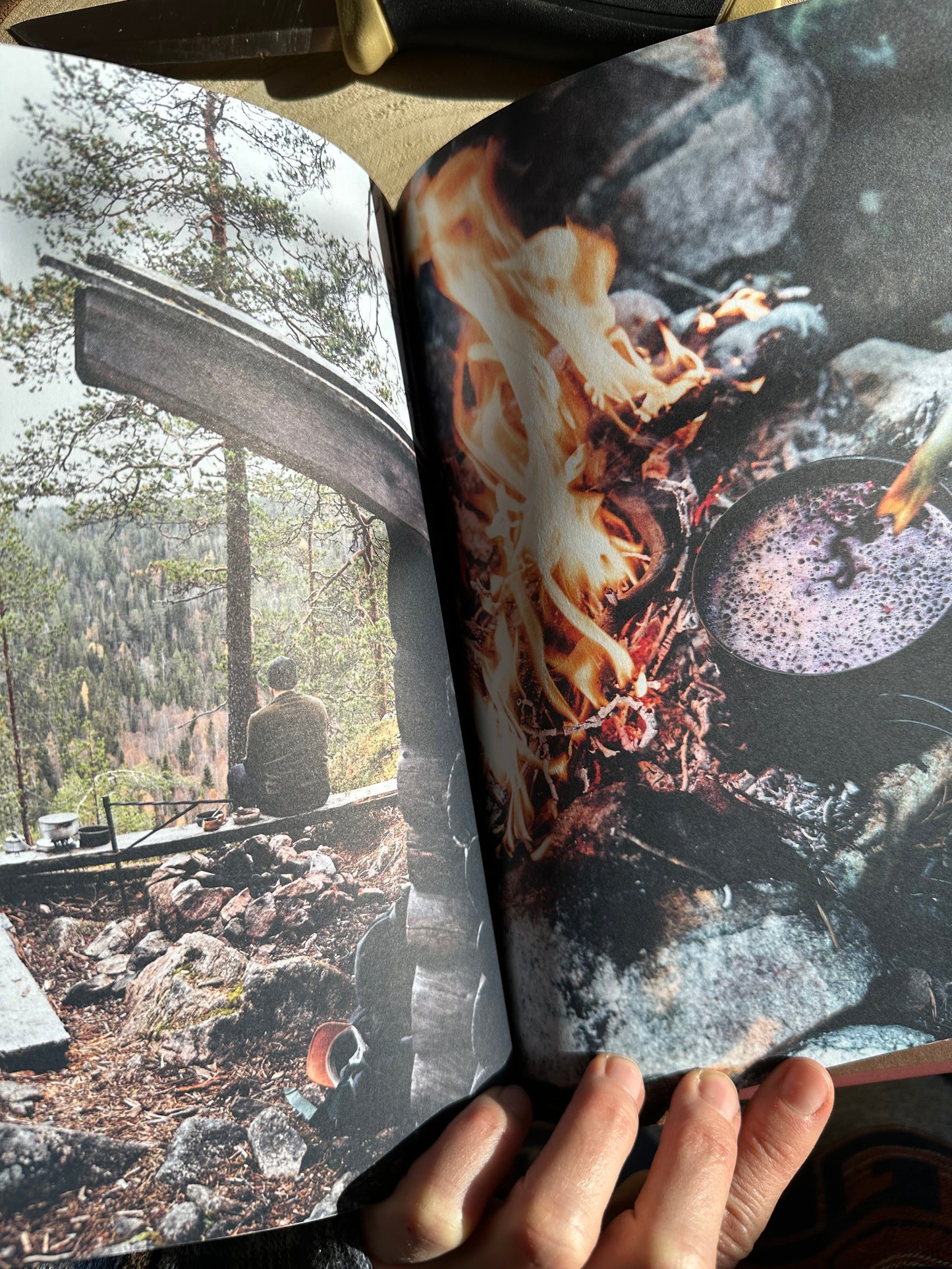 Food over the Campfire